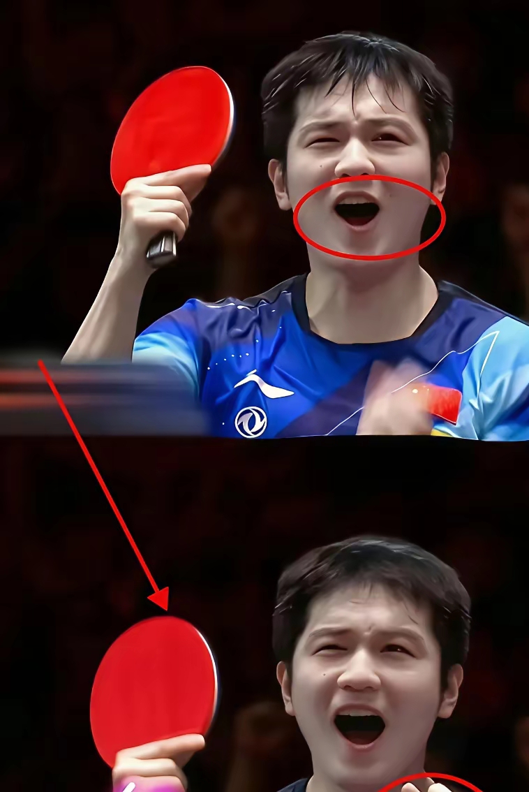 比利时乒乓球队翻盘中国乒乓球队，樊振东高光表现的简单介绍