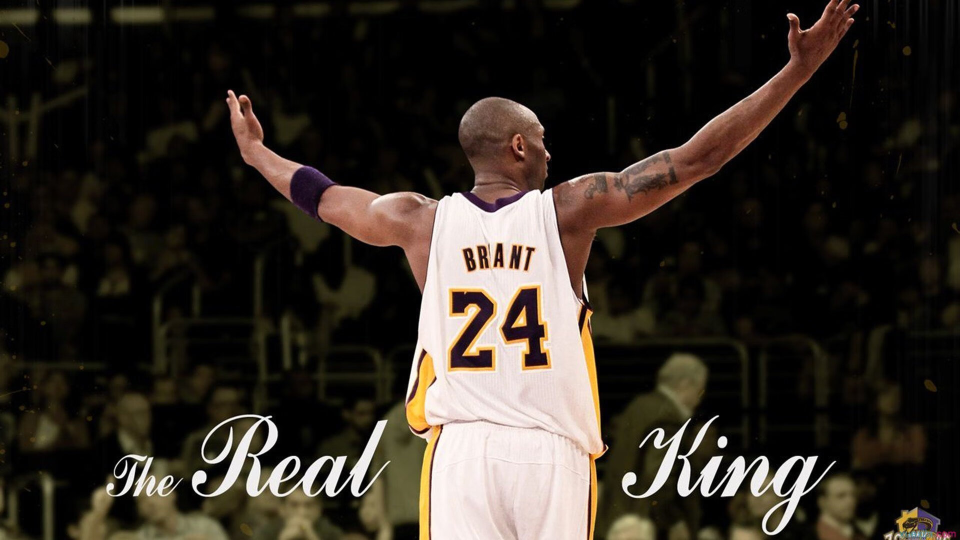 鹈鹕展翅压制火箭,贝恩化身关键先生定乾坤