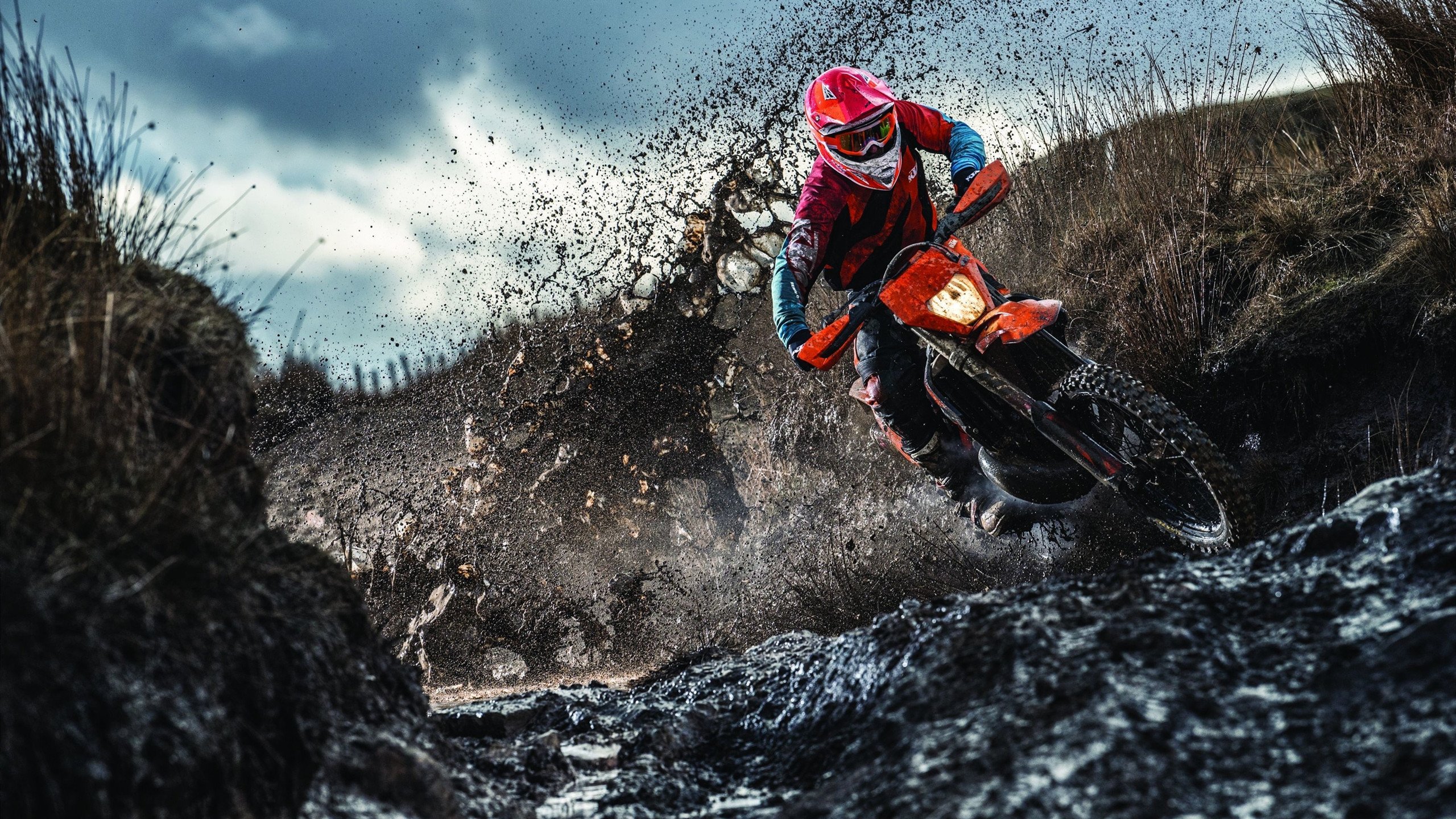 开云体育官方网站-绝杀与领军，从韩国队掀翻德国战车，到林高远的带队之道